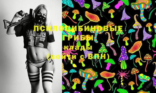 Альфа ПВП Алексин