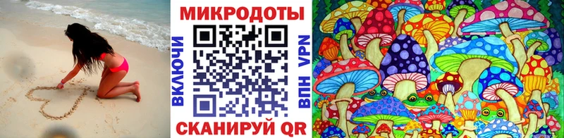 Галлюциногенные грибы Psilocybine cubensis Пушкино