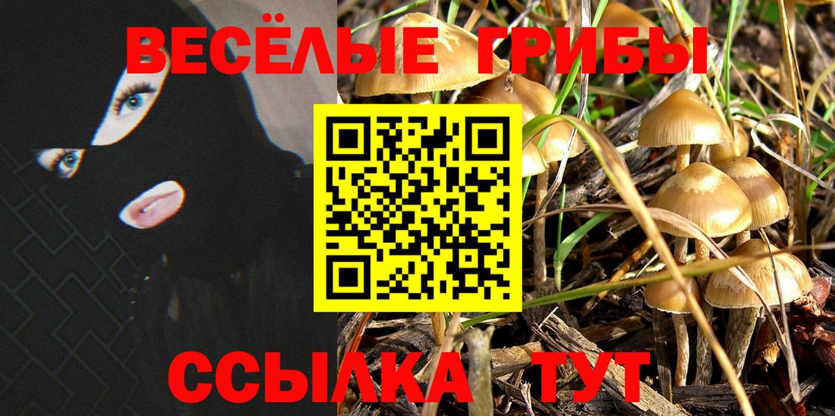 Пушкино  Псилоцибиновые грибы Psilocybe  Вход с VPN 