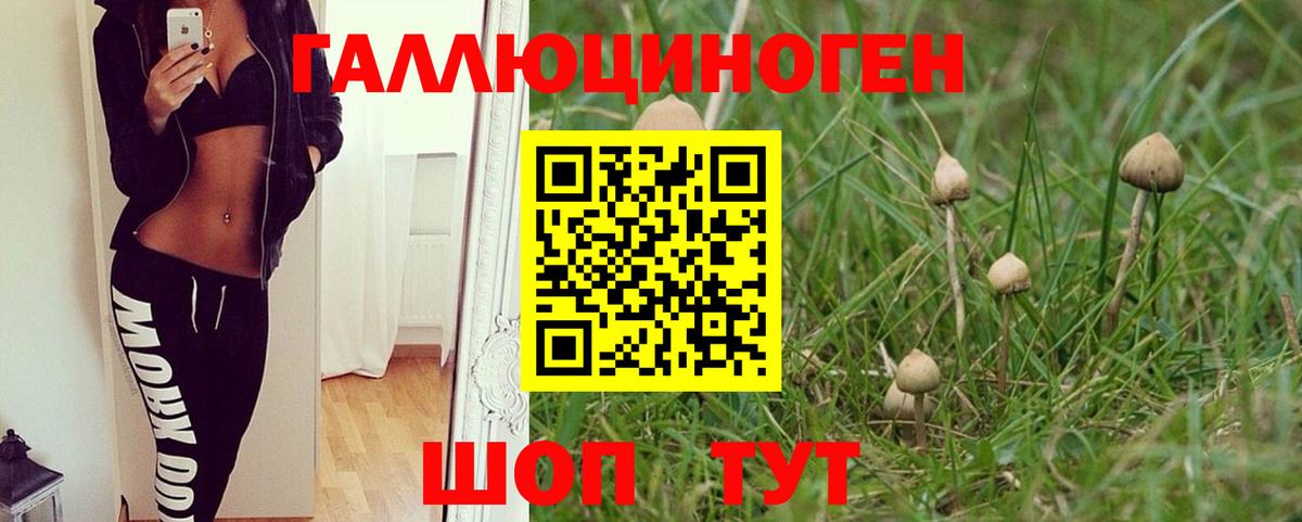 Галлюциногенные грибы мухоморы Пушкино